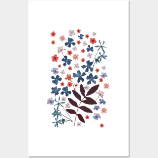 Pressed flowers Posters and Art